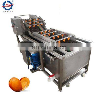 Industrial vegetable fruit air bubble washing cleaning machine