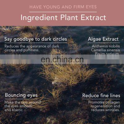 Anti Aging Ageless OEM ODM Private Label Organic Pure Dark Circles Eye Cream photo-3