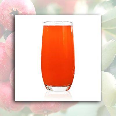 Hawthorn Juice Concentrate photo-3