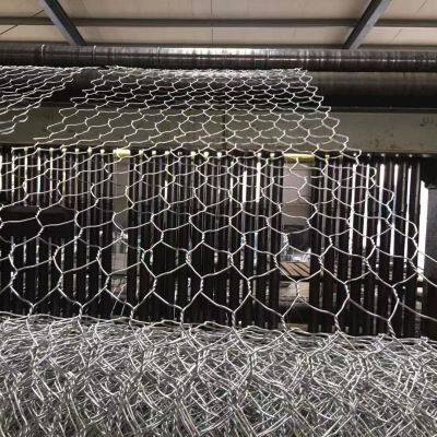 Stainless Steel Wire Mesh photo-5