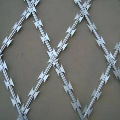 Hot Selling Galvanized Multiple Types Razor Barbed Wire photo-2