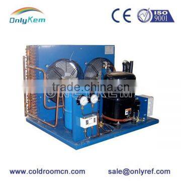 Air cooled condensing units for cold storage