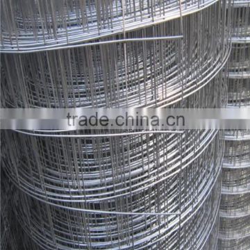 Competitive Price galvanized welded wire mesh ISO9001 factory