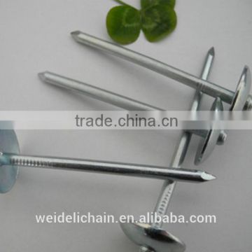 supply good quality umbrella head roofing nails