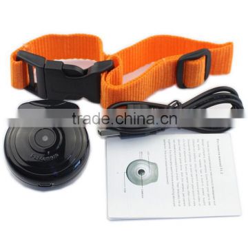 Pet Eye View Dog Puppy Kitten Cat Pet Collar digital Camera