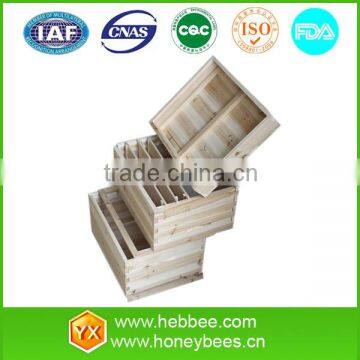 beekeeping equipment fir wooden level bee hive