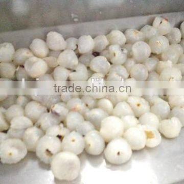 Lychee (Longyan) Pitting and Husking Machine From XinXiang Leading Machinery photo-2