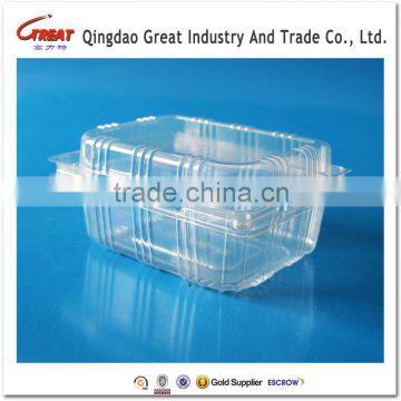 Clear Transparents Clamshell Blister Plastic Fruit Packaging Container 350Gram photo-4