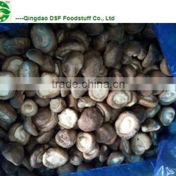 Market Prices for Mushroom photo-4