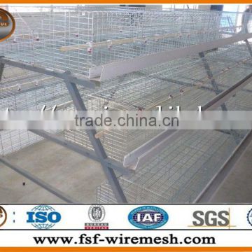 chicken cage / layer chicken cage / broiler chicken cage