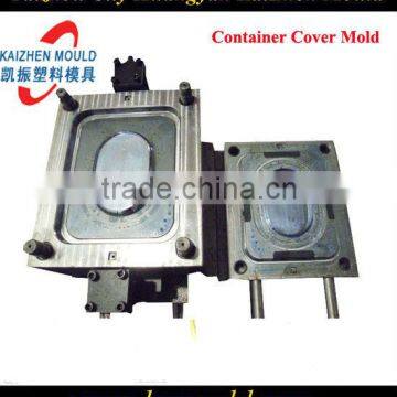 Injection Plastic Crisper Cover Mould