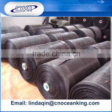 PP Woven Fabric Rolls
