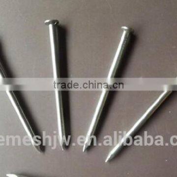 Price of Iron Nail/Common Nail Iron Nail Factory