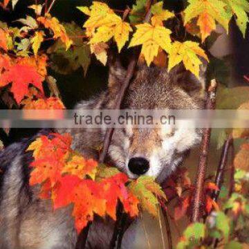 Maple leaf wave pattern cloth painting