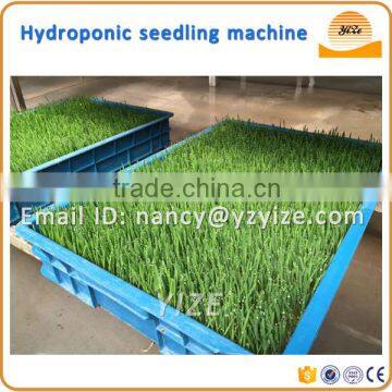 Barley wheat fodder machine, hydroponic seedling fodder machine for rabbit