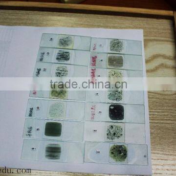 Microscope Prepared Slides ,Rock Slides, Rock Prepared Slides photo-2