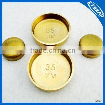 Diesel Engine Parts Expansion Plug