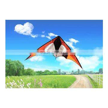 Dual Line Delta Stunt Kites - Curved Edge Kites