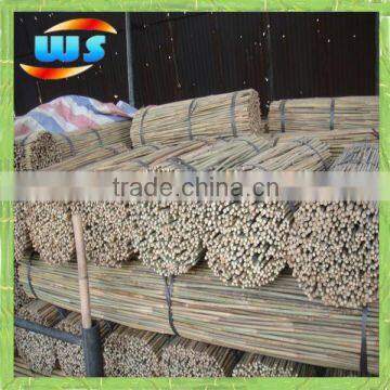 Support plants bamboo cane 2.5' X 8/10mm