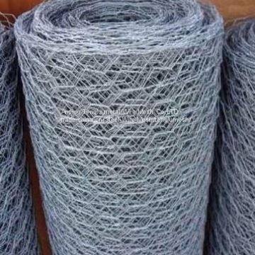 Chicken Wire/Florist Wire Netting/Galvanized Hexagonal Wire Mesh Netting