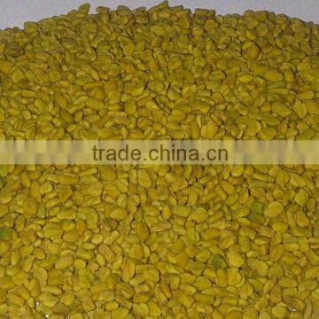 Fenugreek Seed