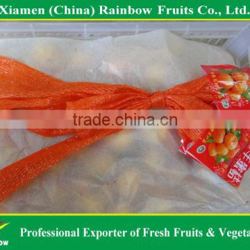 Chinese best quality fresh yellow baby mandarin orange 35mm~55mm