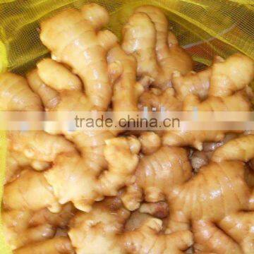 good quality &PURE block fresh fat ginger