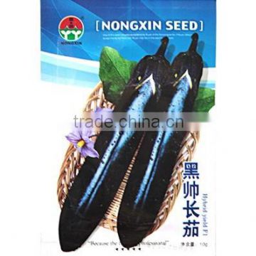 High Quality hybrid Black Long Eggplant Seeds For Growing-Black Handsome Long Eggplant