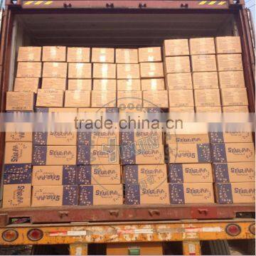 Pellet Packing Scale photo-2