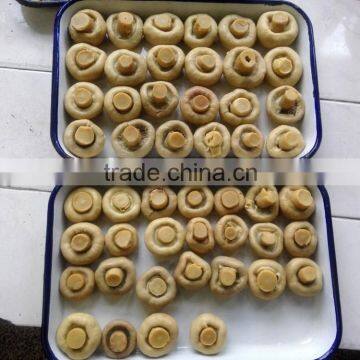 CANNED BUTTON MUSHROOMS WITH SALTY FLAVOR