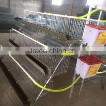 Cheapest Price Chicken Layer Cage for 120 Chickens photo-2