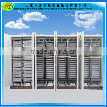 Large Capacity Egg Incubator Supplier 50000 Eggs Incubator photo-3