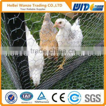 PVC coated hexagonal wire mesh chicken coope hexagonal wire mesh hexagonal wire mesh machine