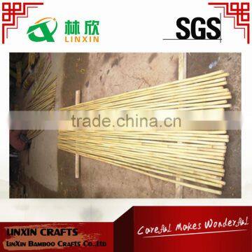 Bamboo Cane /bamboo Stake /bamboo Pole