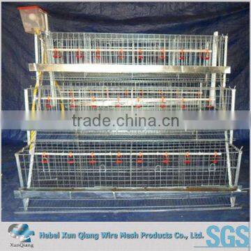 3 tiers automatic layer poultry battery cages