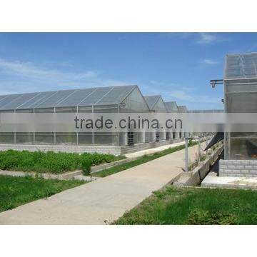 Greenhouse of Polycarbonate Sheet photo-5
