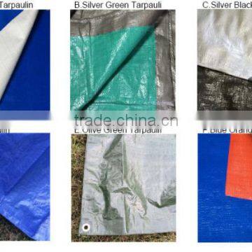 High Grade 50-300gsm Plastic Tarpaulin Sheet/ Woven Fabric PE Tarpaulin photo-2