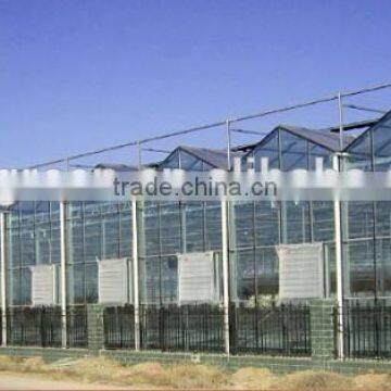 Glass Greenhouses China photo-2