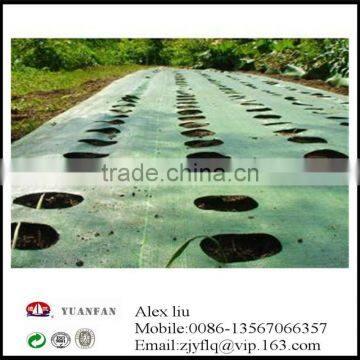 Controls Weeds Promotes Plant Growth Nonwoven Fabric photo-6