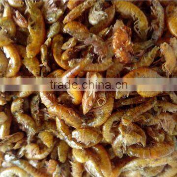 Dried Gammarus for Pet (dragon fish ,turtle,hamster);Pet Food Dried Gammarus