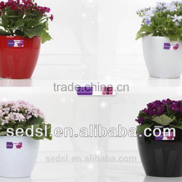 Small Decorative Plastic Plant Pots Indoor, Flower Pots photo-2