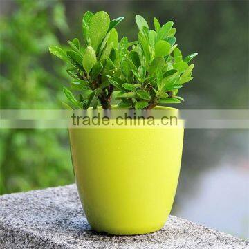 Outdoor small decorative plastic flower pots