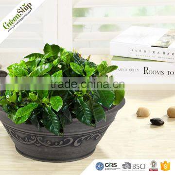 Antique Round Short Biodegradable Plastic Flower Pot photo-6
