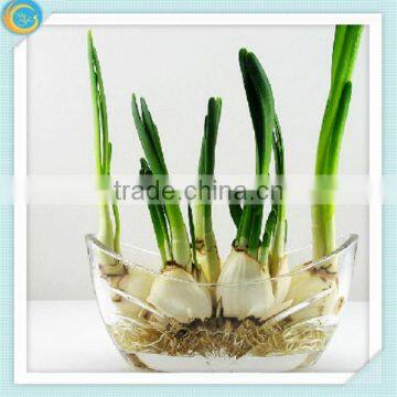 Floor Vases