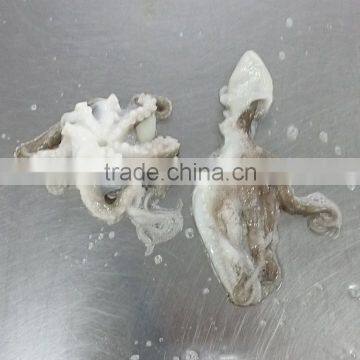 Fresh Frozen Cleaned Baby Octopus Flower Type photo-3