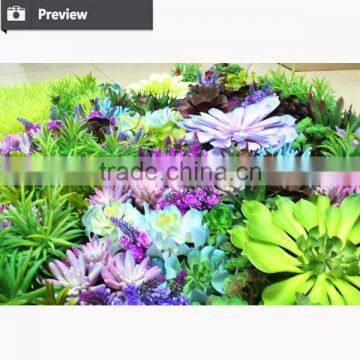 Hot Selling Artificial Green Wall Artificial Succulent Plant Artificial Vertical Garden photo-3