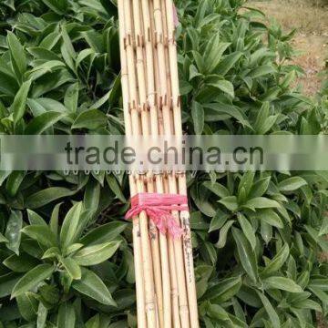 Factory Direct Sale Bamboo Cane Trellis /holding Bamboo Trellis/make Bamboo Garden Trellis photo-4