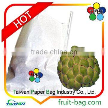 Taiwan High Quality Paper Bag for Shakya Sugarapple Antibacterial Bag