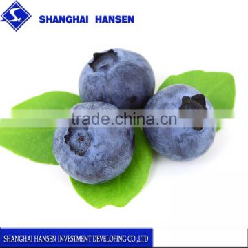 Import Agent of fresh Blueberry Fruit for Customs Clearance