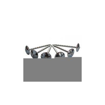 Sell Galvanized Umbrella Head Roofing Nail